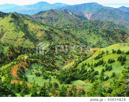 紅葉の志賀高原 紅葉の志賀高原 43654828