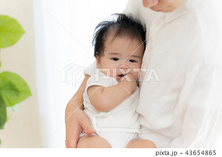 家族・ファミリー 43654865