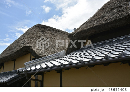 【佐賀県　鹿島市】肥前浜宿・浜庄津町浜金屋町の町並み 43655408