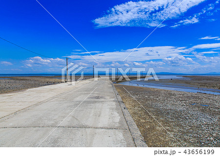 太良町 海床路の潮引き後 【佐賀県太良町】 太良町 海床路の潮引き後 【佐賀県太良町】 43656199