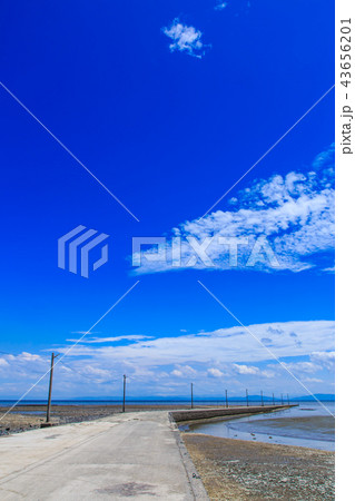 太良町　海床路の潮引き後　【佐賀県太良町】 43656201