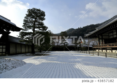 京都嵐山の冬の雪 43657182
