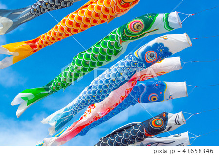 鯉のぼり 43658346