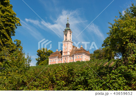 Landscape with vineyards and pilgrimage church Landscape with vineyards and pilgrimage church 43659652
