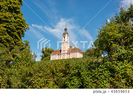 Landscape with vineyards and pilgrimage church 43659653