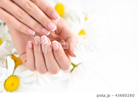 Beautiful woman french manicured hands 43660260