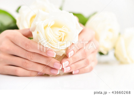 Hands of a woman with beautiful french manicure Hands of a woman with beautiful french manicure 43660268