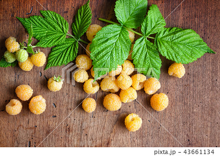 Ripe yellow raspberries with leaves Ripe yellow raspberries with leaves 43661134