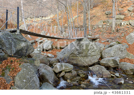Rope suspended footbridge 43661331