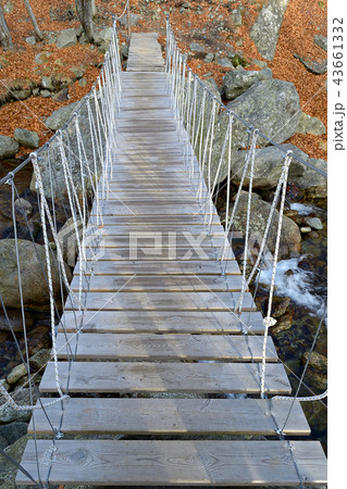 Rope suspended footbridge 43661332