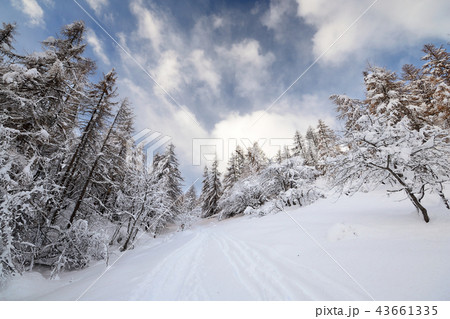 Winter time in the Alps. Winter time in the Alps. 43661335