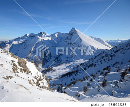 Elegant snowcapped mountain peak 43661383