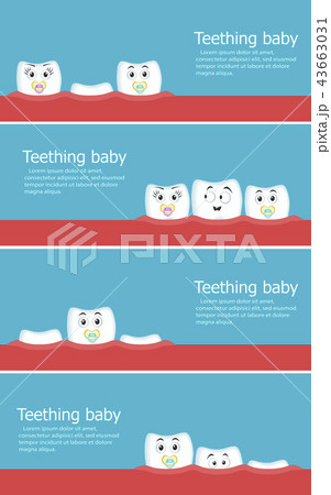 Teething baby flyers with cartoon teeth characters 43663031