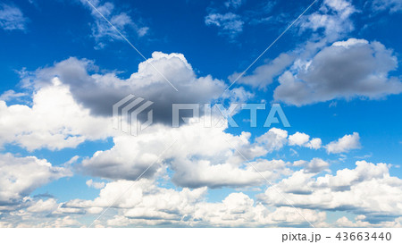 panoramic view of cumulus white and gray clouds panoramic view of cumulus white and gray clouds 43663440