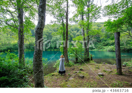 ドッコ沼 ドッコ沼 43663716