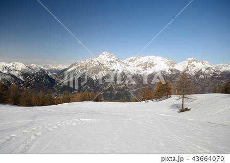 Alpine ski slope 43664070