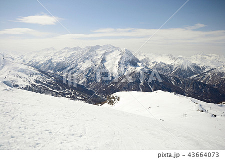 Alpine ski slope 43664073