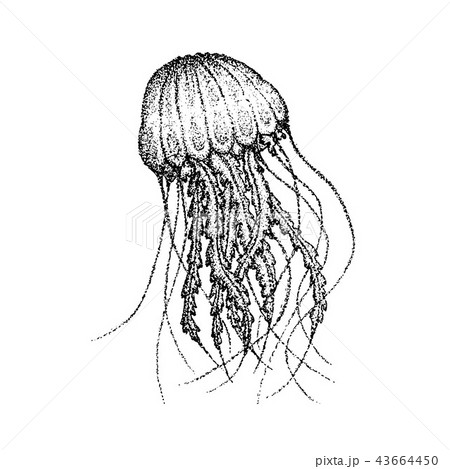 Dotwork Sea Jellyfishのイラスト素材