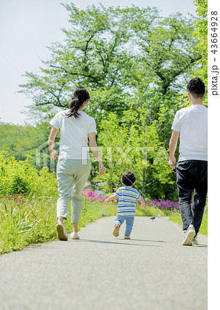 新緑の公園で遊ぶ3人家族の後ろ姿の写真素材