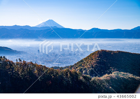 【山梨県】紅葉の和田峠から、甲府盆地と富士山を望む 43665002