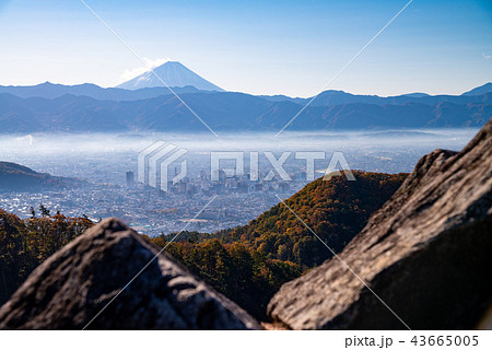 【山梨県】紅葉の和田峠から、甲府盆地と富士山を望む 43665005