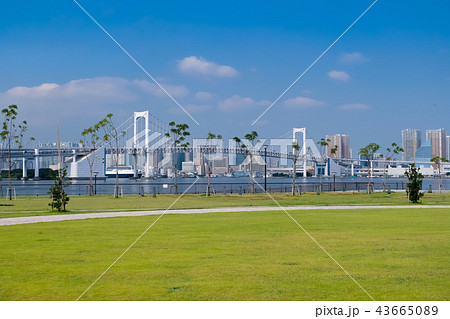豊洲ぐるり公園 豊洲ぐるり公園 43665089