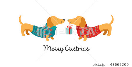 Collection of Christmas dogs, Merry Christmas illustrations of cute pets with accessories like a Collection of Christmas dogs, Merry Christmas illustrations of cute pets with accessories like a 43665209