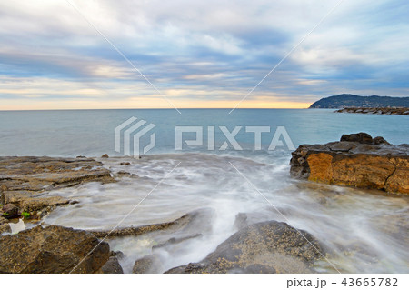 Coastline at dusk 43665782