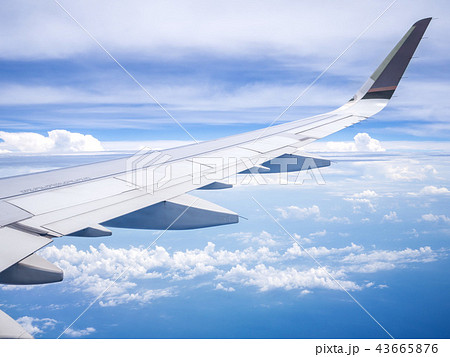 飛行機 航空機 ひこうき 43665876