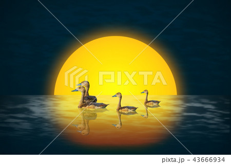 Red Duck with Moon (Creative photo Editing) Red Duck with Moon (Creative photo Editing) 43666934