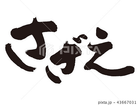 さざえ　筆文字 43667031