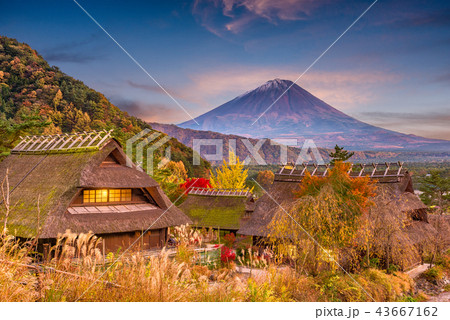Mt. Fuji, Japan Autumn 43667162
