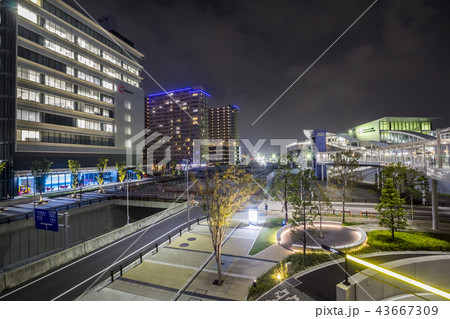 愛知県　名古屋都市風景　ささしまライブ夜景 43667309