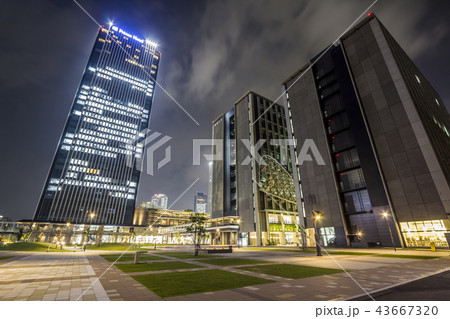 愛知県 名古屋都市風景 ささしまライブ夜景 愛知県 名古屋都市風景 ささしまライブ夜景 43667320