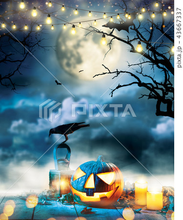 Spooky halloween pumpkin on wooden planks Spooky halloween pumpkin on wooden planks 43667337