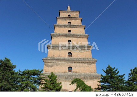 大雁塔　西安　シルクロード　中国 43667418