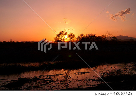 鬼怒川と夕陽 43667428