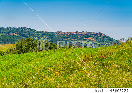 Landscape of hilly tuscany Landscape of hilly tuscany 43668227
