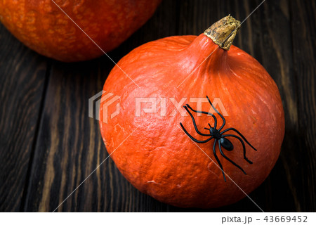 Halloween holiday background with pumpkins Halloween holiday background with pumpkins 43669452