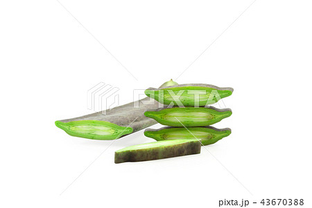 Broken Bone tree isolated on white background. 43670388