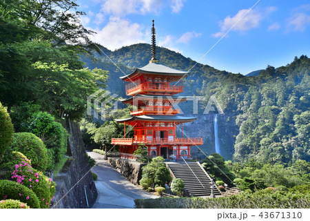 熊野　那智の滝（飛瀧神社） 43671310