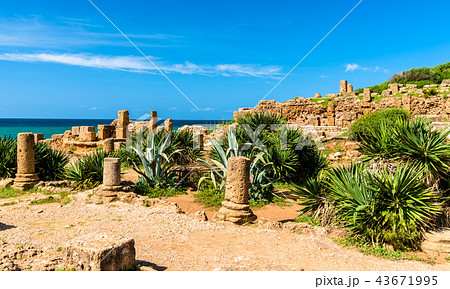 Ruins of Tipasa, a Roman colonia in Algeria, North Africa 43671995