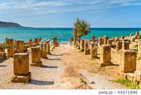 Ruins of Tipasa, a Roman colonia in Algeria, North Africa 43671996