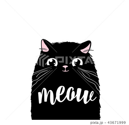 Black cute cat vector print design. Meow lettering text. Kitten face vector background. Funny and 43671999