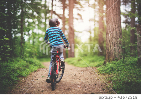 child on a bicycle in the forest in early morning child on a bicycle in the forest in early morning 43672518