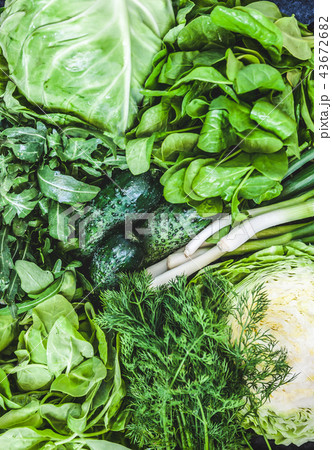 Background of a lot of fresh green different Background of a lot of fresh green different 43672682