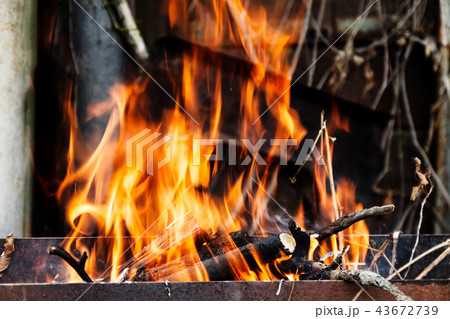 the hearth burn firewood and branches for coal 43672739