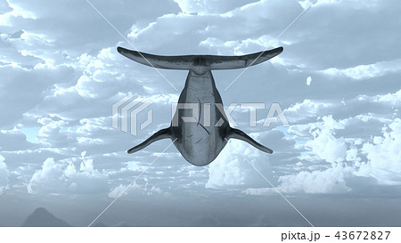 空飛ぶ鯨 43672827