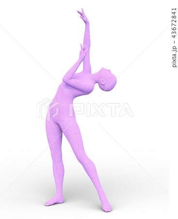 ワイヤーフレーム女性 ワイヤーフレーム女性 43672841