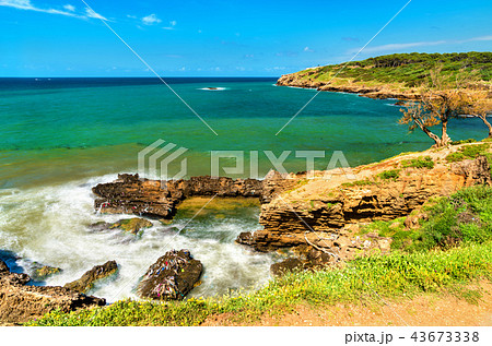 Ruins of Tipasa, a Roman colonia in Algeria, North Africa 43673338